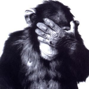 Meet your Posher, Michaël